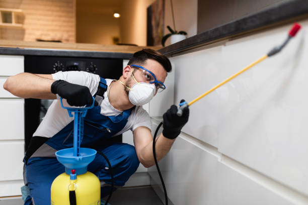 Best Residential Pest Control  in Manasota Key, FL