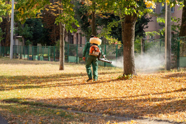 Best Wasp Removal Services  in Manasota Key, FL